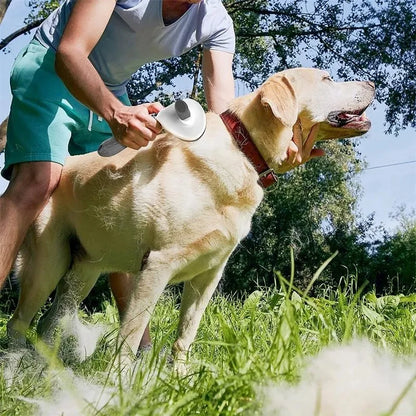 Professional Pet Hair Grooming Brush